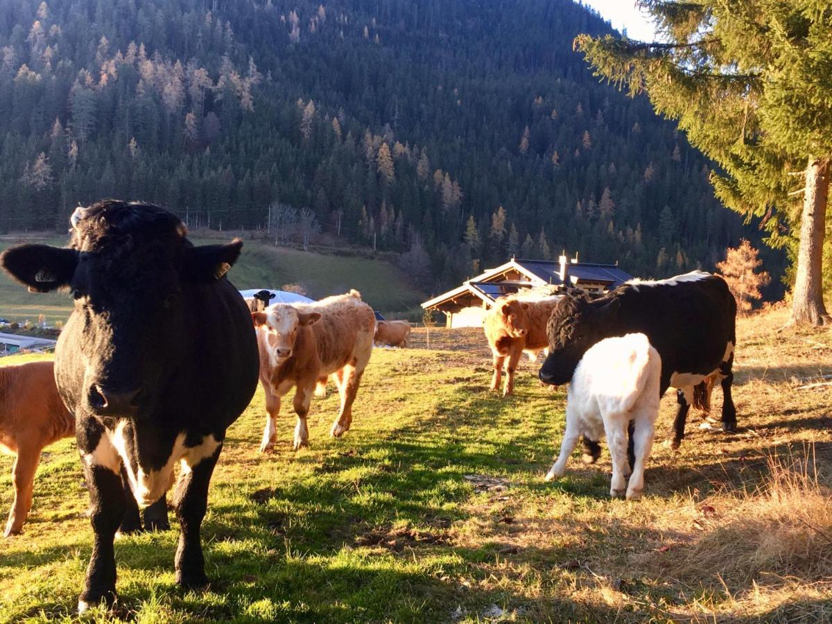 Traumblick Dachstein Apartamento Radstadt Exterior foto